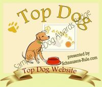 Dog Website Award