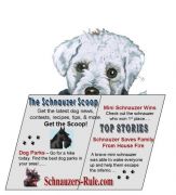 schnauzer, dog newsletter, dog news, schnauzer news, miniature schnauzer info