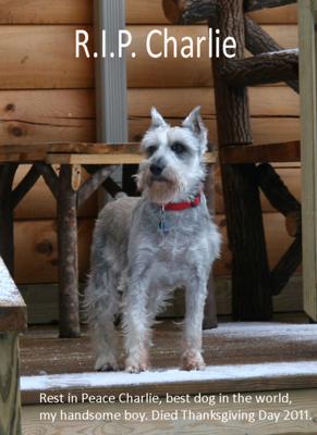 Charlie, my handsome boy,  died on Thanksgiving Day 2011