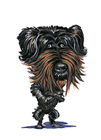 Schnauzer Caricature