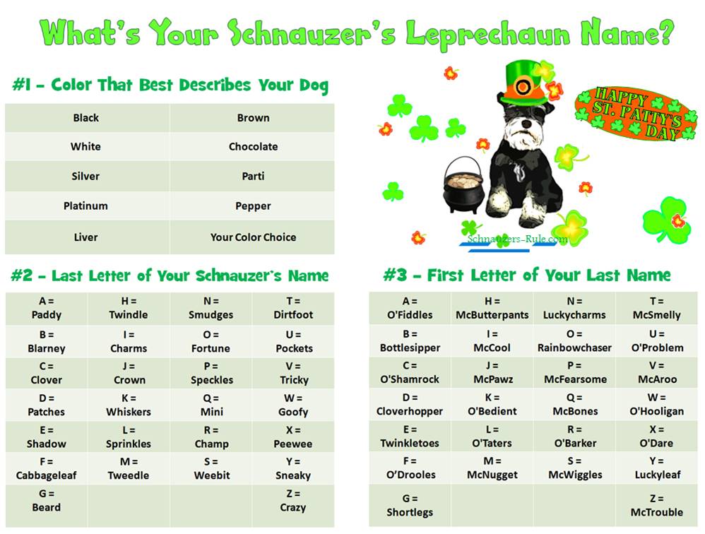 Leprechaun Name Generator for Dogs