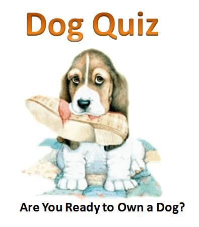 Are You Ready to Own a Dog Quiz