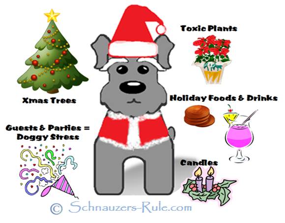 Dog Safety Holiday Tips