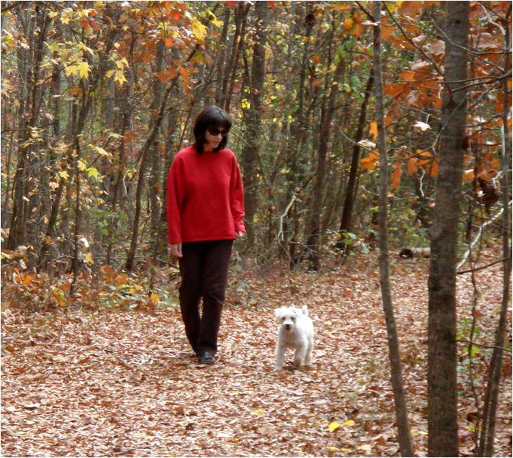 Dog Park Nature Trails