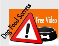 foods bad for dogs