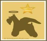 Pet Loss e-card, dog ecard, schnauzer loss card