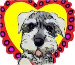 Valentine ecard, dog ecard, schnauzer card