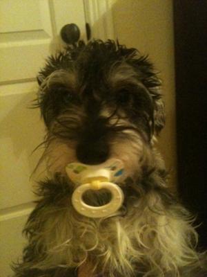 Grady caught with a binky