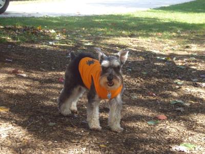 Carly wearing a Halloween dress