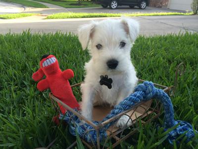 First Photo Shoot (looks like one of the stuffed animals)