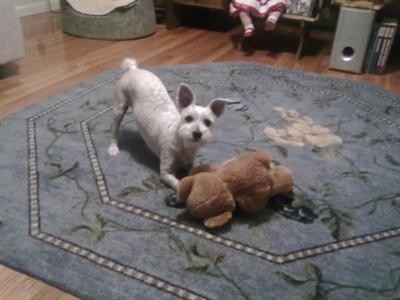 Playing with her teddy!