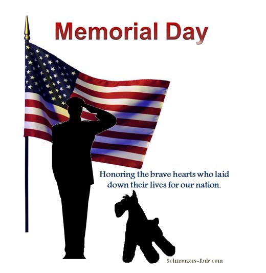 Memorial Day Pet Tips