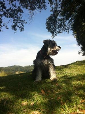 Milka and a landscape