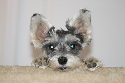 Radar staring me down from upstairs