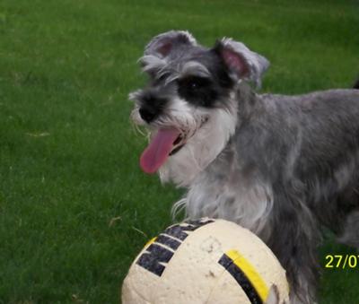 soccer player