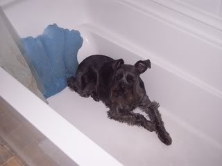 Guarding the Bathtub