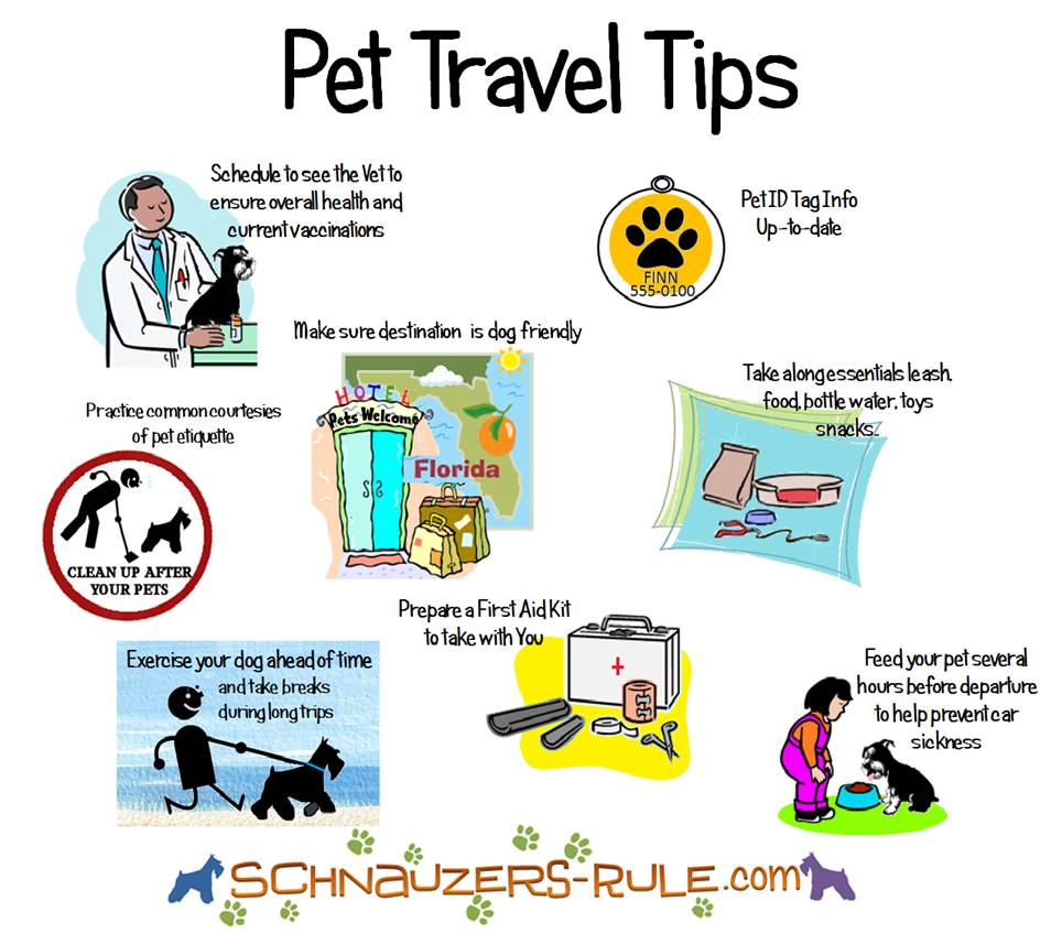 Pet Travel Tips