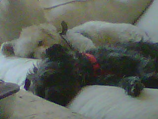 Sookie with one of her friends
