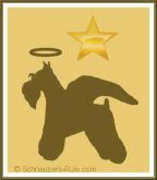 schnauzer angel, pet loss ecard