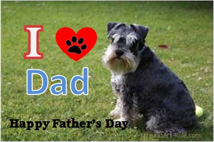 Happy Father's Day from Your Mini Schnauzer