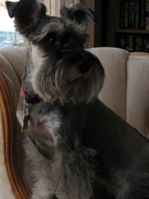 Posing for the camera.