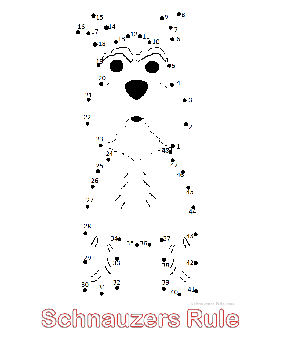 Mini Schnauzer Connect-the-Dots drawing