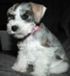 Madame Flossy