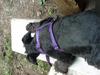 Asleep on the picnic table bench