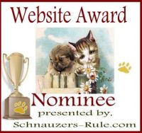 pet website award