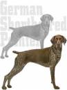 pointer