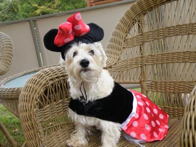 Minnie Mouse