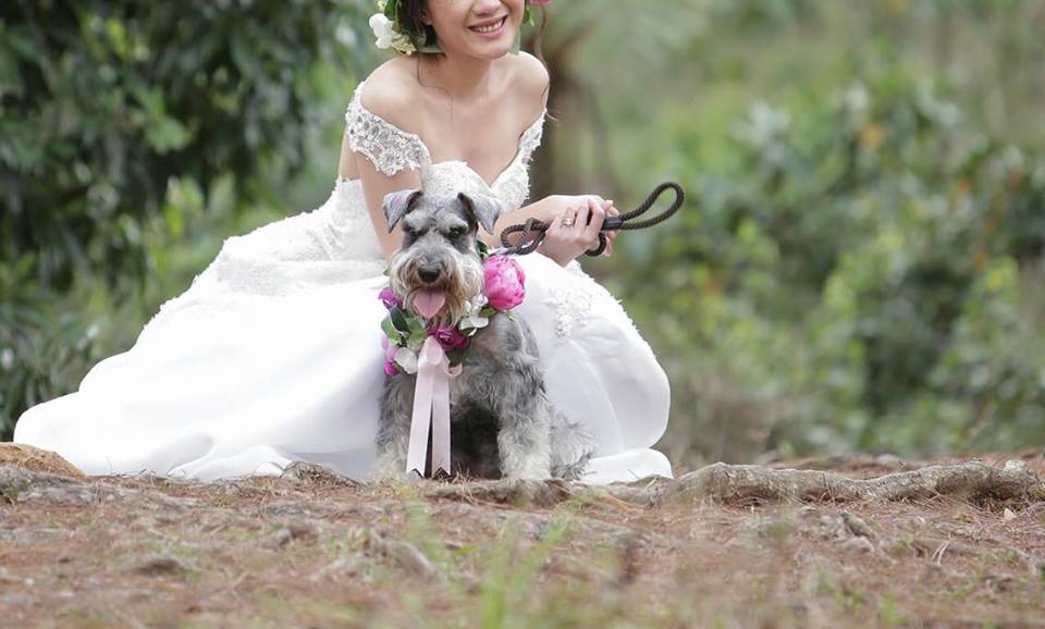 Bride and Dog